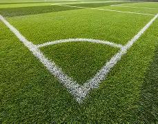 波切蒂诺褒,奖曼联,充满生机,百家乐网站,百家乐官网,百家乐平台,在线百家乐,真人百家乐,百家乐投注,百家乐直播