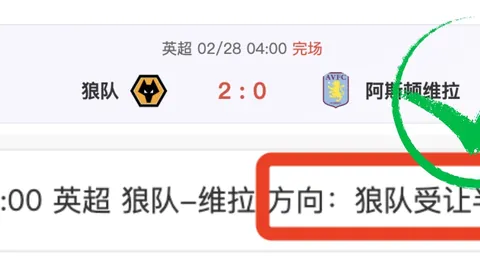 多特追求葡萄牙中卫伊纳西奥受阻，转会费成难题